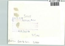 30823 W3008 Garbsen FOTO KEINE AK Blauer See Schwäne