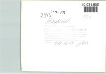 26434 W2942 Hooksiel FOTO KEINE AK Luftaufnahme Campingplatz