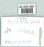 79777 W7899 Birkendorf , Schwarzw FOTO KEINE AK