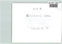 26409 W2944 Carolinensiel , Ostfriesl FOTO KEINE AK Luftaufnahme Campingplatz
