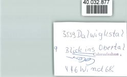 35104 W3540 Dalwigksthal , Waldeck FOTO KEINE AK Blick ins Obertal