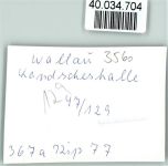 35216 W3560 Wallau , Lahn FOTO KEINE AK Ländscheshalle