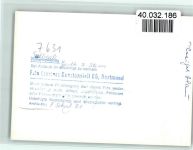 77960 W7633 Seelbach , Schutter FOTO KEINE AK Gasth. z. Stern Innenaufnahme Eichhörnchen