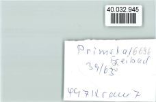 66620 W6696 Primstal FOTO KEINE AK Fraibad