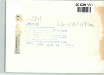 49401 W2845 Damme , Dümmer FOTO KEINE AK Restaurant Schweizerhaus