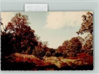 29473 W3139 Göhrde FOTO KEINE AK Partie in der Heide