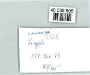 38268 W3325 Lengede FOTO KEINE AK