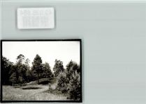 33189 W4797 Oesterholz-Haustenbeck FOTO KEINE AK Heidehof Wald