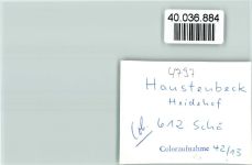 33189 W4797 Oesterholz-Haustenbeck FOTO KEINE AK Heidehof Wald