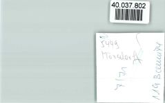 56290 W5449 Mörsdorf , Hunsrück FOTO KEINE AK