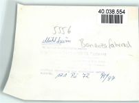 54486 W5556 Mülheim (Mosel) FOTO KEINE AK Offenbacher Straße Sparkasse Bank Bonanzafahrrad