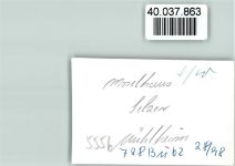 54486 W5556 Mülheim (Mosel) FOTO KEINE AK Moselhaus Selzer