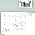53520 W5489 Meuspath FOTO KEINE AK Finnhausbau