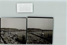 25836 W2256 Vollerwiek FOTO KEINE AK Deichkinder, 2 Aufnahmen