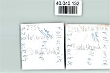 25836 W2256 Vollerwiek FOTO KEINE AK Deichkinder, 2 Aufnahmen