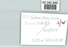 92287 W8456 Schmidmühlen FOTO KEINE AK Blumenschiiff