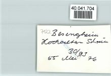 74354 W7122 Besigheim FOTO KEINE AK Hochaltar