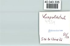 32805 W4934 Leopoldstal , Lippe FOTO KEINE AK Cafe Winter