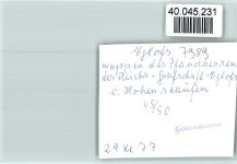 88260 W7989 Eglofs , Kr Wangen im Allgäu FOTO KEINE AK Wappen