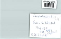 32805 W4934 Leopoldstal , Lippe FOTO KEINE AK Pension Silbertal