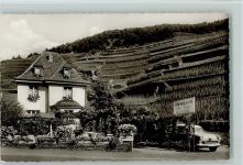 53474 W5487 Marienthal b Bad Neuenahr-Ahrweiler - Weinhaus Josef Gilles, Weinberge ca 1960 AK