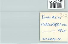 27624 W2852 Bederkesa FOTO KEINE AK Waldschlößchen