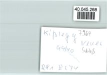 88353 W7964 Kißlegg FOTO KEINE AK Schloß Innenaufnahme