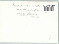 Harald Schmid Autogramm keine AK Leichtathletik