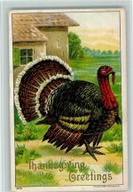 Truthahn - Serie 920 - AK Thanksgiving Prägedruck