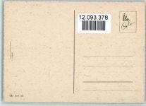 Afghane Windhund ca 1965 AK Windhund