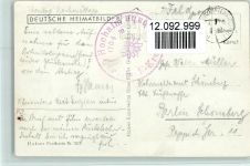Gemsennest gefunden 1933 Photo Huber 5621 AK Gams