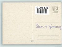 Cockerspaniel Welpen ca 1965 AK Spaniel