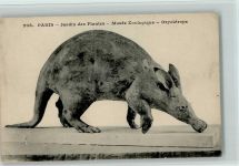 Nr. 208 Orycterope - Paris Museum Dinosaurier