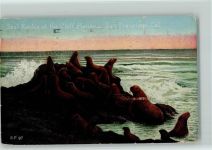 Seal Rocks - San Fancisco, 1920 Cal. USA Robbe