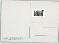 sign Hans Molfenter, Panther , Reihe 329 Ackermann Verlag Raubkatze