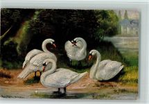 Schwäne am Teich ca 1917 AK Müller, A. (München)