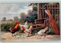 Serie 255 - Pfau und Hühner Schönian, A.
