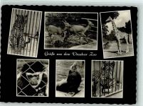 Verschiedene Tierabbildungen 1964 AK Zoo