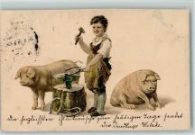 Neujahr - Schweine, Schmied fertigt Hufeisen - Stempelflecken 1904 AK Schmied