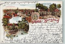 31303 W3167 Burgdorf , Kr Hannover 1897 - Schloss Auenpartie Ruderboot Seerose
