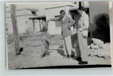 Tanzbär Privatfoto AK