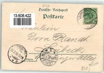29451 W3138 Dannenberg Elbe 1900 Lithographie Prochaska Denkmal Bahnhofs Hotel Heinrich Lehmann Bahnhof Johanniter Krankenhaus Stein Dichter Theodor Körner Bundeslied vor der Schlacht