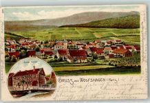 38685 W3394 Wolfshagen im Harz Lithographie Haus Gustav Höfner