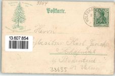 38685 W3394 Wolfshagen im Harz Lithographie Haus Gustav Höfner