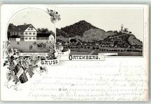 77799 W7601 Ortenberg , Baden 1896 Lithographie Gasthaus Zur Krone