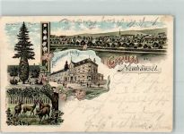 56335 W5411 Neuhäusel , Westerw 1900 Lithographie Gasthaus Holly Wunderbarer Baum Jagdtiere