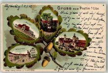 06922 O7908 Prettin 1903 Lithographie Herrenstraße Bahnhof Kriegerdenkmal Schloss Lichtenburg Eichenblatt Passepartout