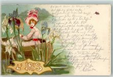 L' Iris Nr 239 Abeille, J. 1900