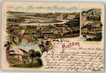 01612 O8401 Diesbar-Seußlitz 1899 Lithographie Schloss Hirschstein Elbtal Dampfschiffstation Gasthaus Zum Ross