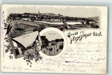 92660 W8482 Neustadt a.d.Waldnaab 1899 Lithographie Vorläufer